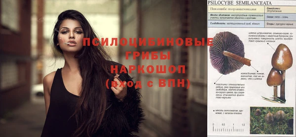 дурь Володарск