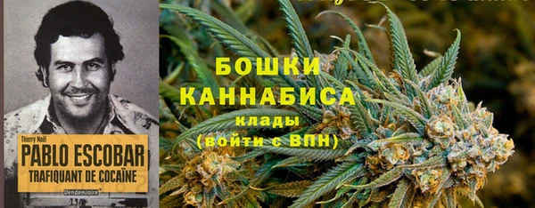 дурь Володарск