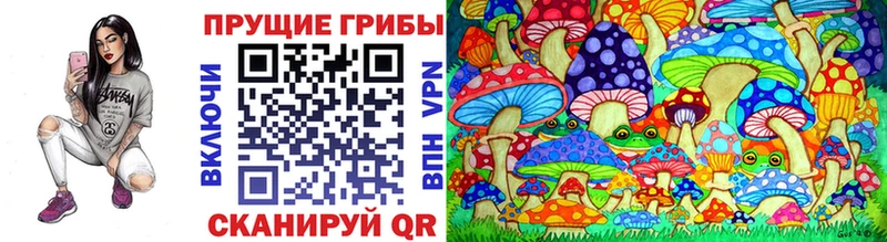 Галлюциногенные грибы Psilocybe Георгиевск