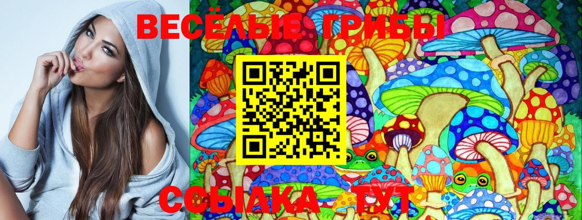 Псилоцибиновые грибы MAGIC MUSHROOMS  Галлюциногенные грибы мицелий  Вход с VPN  Георгиевск 