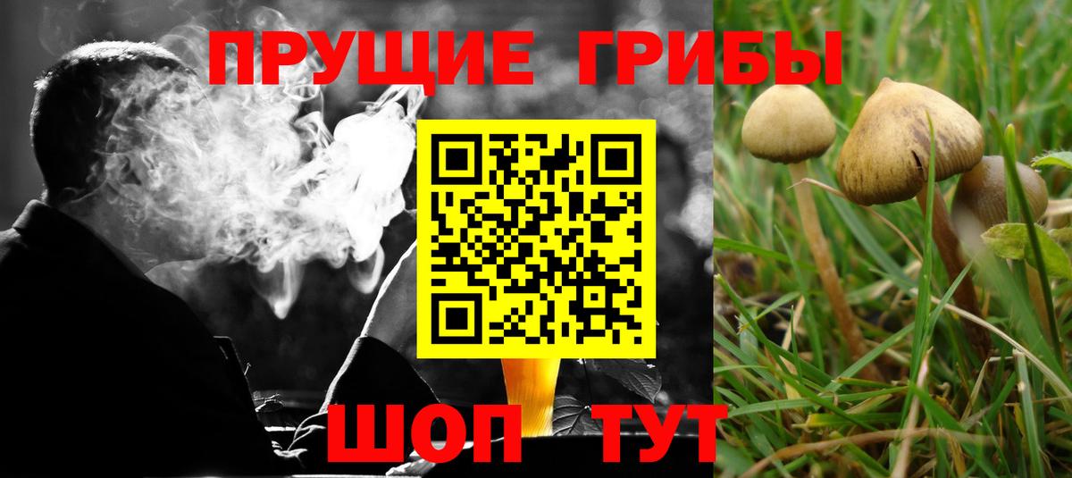 Галлюциногенные грибы ЛСД Георгиевск